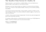 content writer ,blog ,article